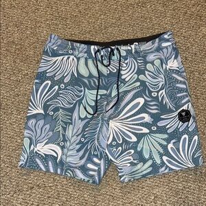 VISSLA Men's size 34, Blue Patterned Swim Trunks Shorts